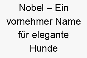 nobel ein vornehmer name fuer elegante hunde mit stolz und wuerde 23151