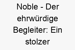 noble der ehrwuerdige begleiter ein stolzer hund mit einem namhaften namen 23187