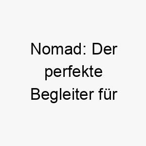 nomad der perfekte begleiter fuer abenteuerlustige hunde 23244