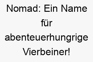 nomad ein name fuer abenteuerhungrige vierbeiner 23157