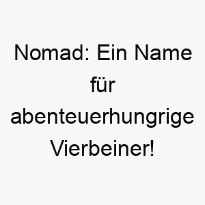 nomad ein name fuer abenteuerhungrige vierbeiner 23157