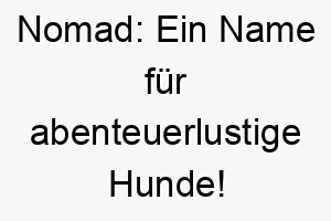 nomad ein name fuer abenteuerlustige hunde 23707