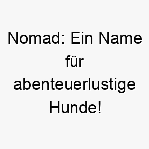 nomad ein name fuer abenteuerlustige hunde 23707