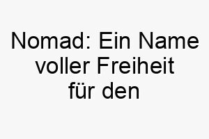 nomad ein name voller freiheit fuer den abenteuerlustigen vierbeiner 23258