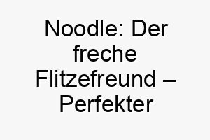 noodle der freche flitzefreund perfekter name fuer schlanke langbeinige huendchen 23260