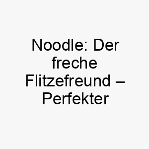 noodle der freche flitzefreund perfekter name fuer schlanke langbeinige huendchen 23260