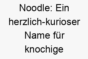 noodle ein herzlich kurioser name fuer knochige vierbeiner 23185