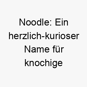 noodle ein herzlich kurioser name fuer knochige vierbeiner 23185