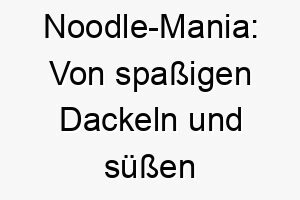 noodle mania von spassigen dackeln und suessen namen 23155