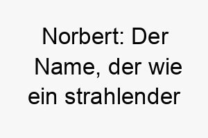 norbert der name der wie ein strahlender nordstern fuer hellen fellfreude steht 23181