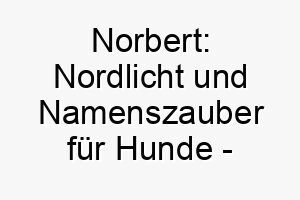 norbert nordlicht und namenszauber fuer hunde ein strahlender name aus dem hohen norden 23230