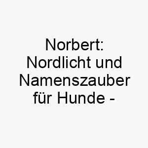 norbert nordlicht und namenszauber fuer hunde ein strahlender name aus dem hohen norden 23230