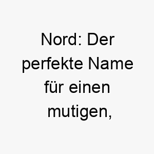 nord der perfekte name fuer einen mutigen abenteuerlichen hund 23278