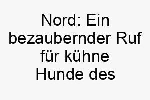 nord ein bezaubernder ruf fuer kuehne hunde des nordens 23207