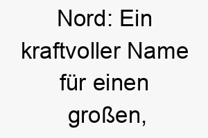 nord ein kraftvoller name fuer einen grossen furchtlosen hunde held 23166