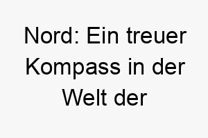 nord ein treuer kompass in der welt der hundenamen 23096