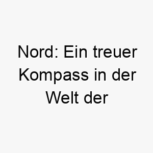 nord ein treuer kompass in der welt der hundenamen 23096