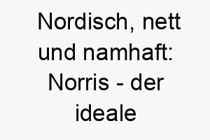 nordisch nett und namhaft norris der ideale hund fuer frostige zeiten 23097