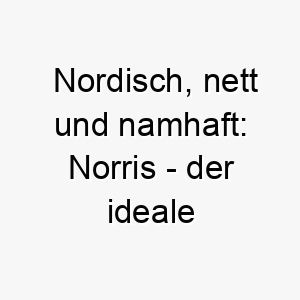 nordisch nett und namhaft norris der ideale hund fuer frostige zeiten 23097