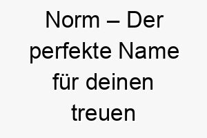 norm der perfekte name fuer deinen treuen begleiter 23188