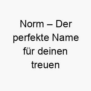 norm der perfekte name fuer deinen treuen begleiter 23188