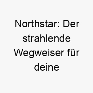 northstar der strahlende wegweiser fuer deine familie 23247