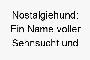 nostalgiehund ein name voller sehnsucht und erinnerungen 23238