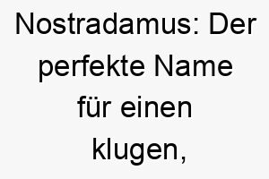 nostradamus der perfekte name fuer einen klugen intuitiven hund 23184