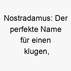 nostradamus der perfekte name fuer einen klugen intuitiven hund 23184