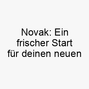 novak ein frischer start fuer deinen neuen pelzigen begleiter 23102