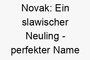 novak ein slawischer neuling perfekter name fuer ein neues hundeabenteuer 23715