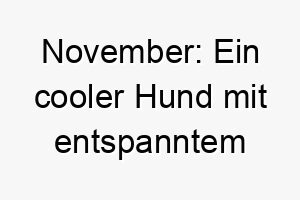 november ein cooler hund mit entspanntem pfoten spirit 23167