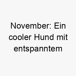 november ein cooler hund mit entspanntem pfoten spirit 23167