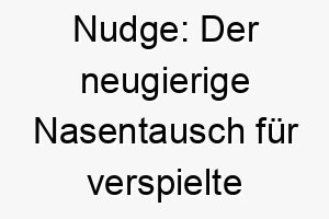 nudge der neugierige nasentausch fuer verspielte hunde 23204