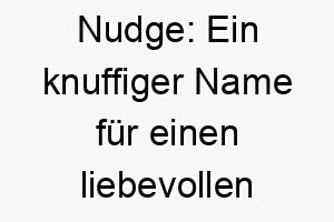 nudge ein knuffiger name fuer einen liebevollen vierbeiner 23281