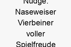 nudge naseweiser vierbeiner voller spielfreude und neugierde 23179