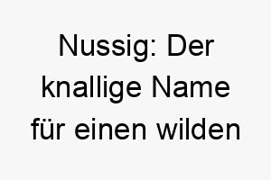 nussig der knallige name fuer einen wilden wirbelwind voller energie 23124