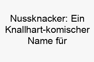 nussknacker ein knallhart komischer name fuer einen hunde knacker 23216