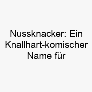 nussknacker ein knallhart komischer name fuer einen hunde knacker 23216