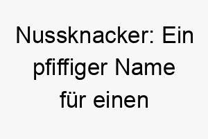 nussknacker ein pfiffiger name fuer einen quirligen wuffi 23113