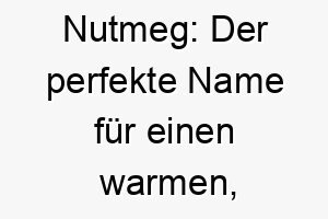 nutmeg der perfekte name fuer einen warmen nussigen vierbeiner 23186