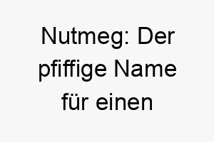 nutmeg der pfiffige name fuer einen suess wuerzigen hund 23285