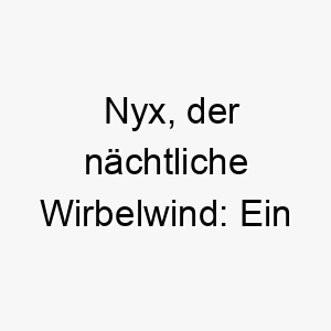 nyx der naechtliche wirbelwind ein bezaubernd charmanter name fuer deinen nachthund 23164