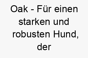 oak fuer einen starken und robusten hund der so unerschuetterlich ist wie eine eiche 23857