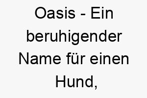 oasis ein beruhigender name fuer einen hund der immer einen sicheren und entspannenden raum bietet 23831