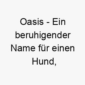 oasis ein beruhigender name fuer einen hund der immer einen sicheren und entspannenden raum bietet 23831