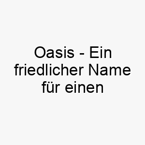 oasis ein friedlicher name fuer einen beruhigenden entspannenden hund 23793