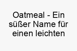 oatmeal ein suesser name fuer einen leichten oder weichen hund 23908