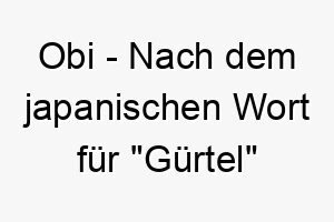 obi nach dem japanischen wort fuer guertel benannt koennte dieser name zu einem hund passen der sich gerne um die beine seiner besitzer windet 23912