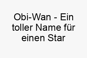 obi wan ein toller name fuer einen star wars fan oder fuer einen hund der weise und ruhig ist 23936